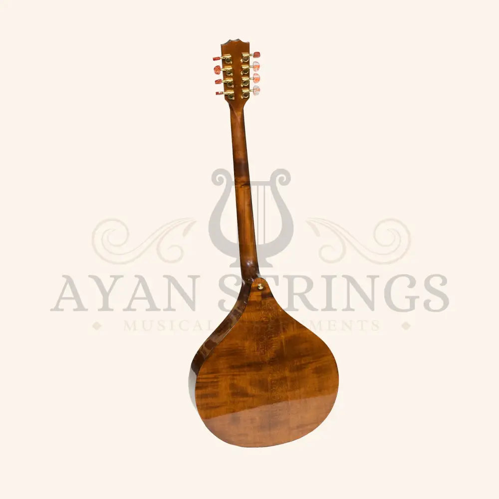 Traditional Irish Concert Bouzouki 8 Strings Maple Body with Spruce Top - Stringed Instruments