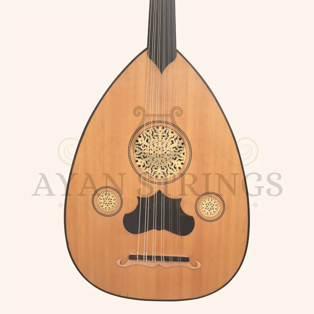 Turkish Oud 11 Strings Maple - Stringed Instruments