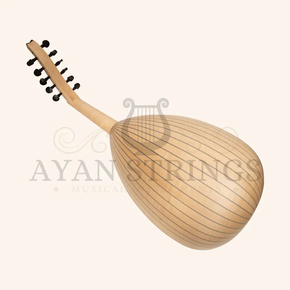 Turkish Oud 11 Strings Maple - Stringed Instruments