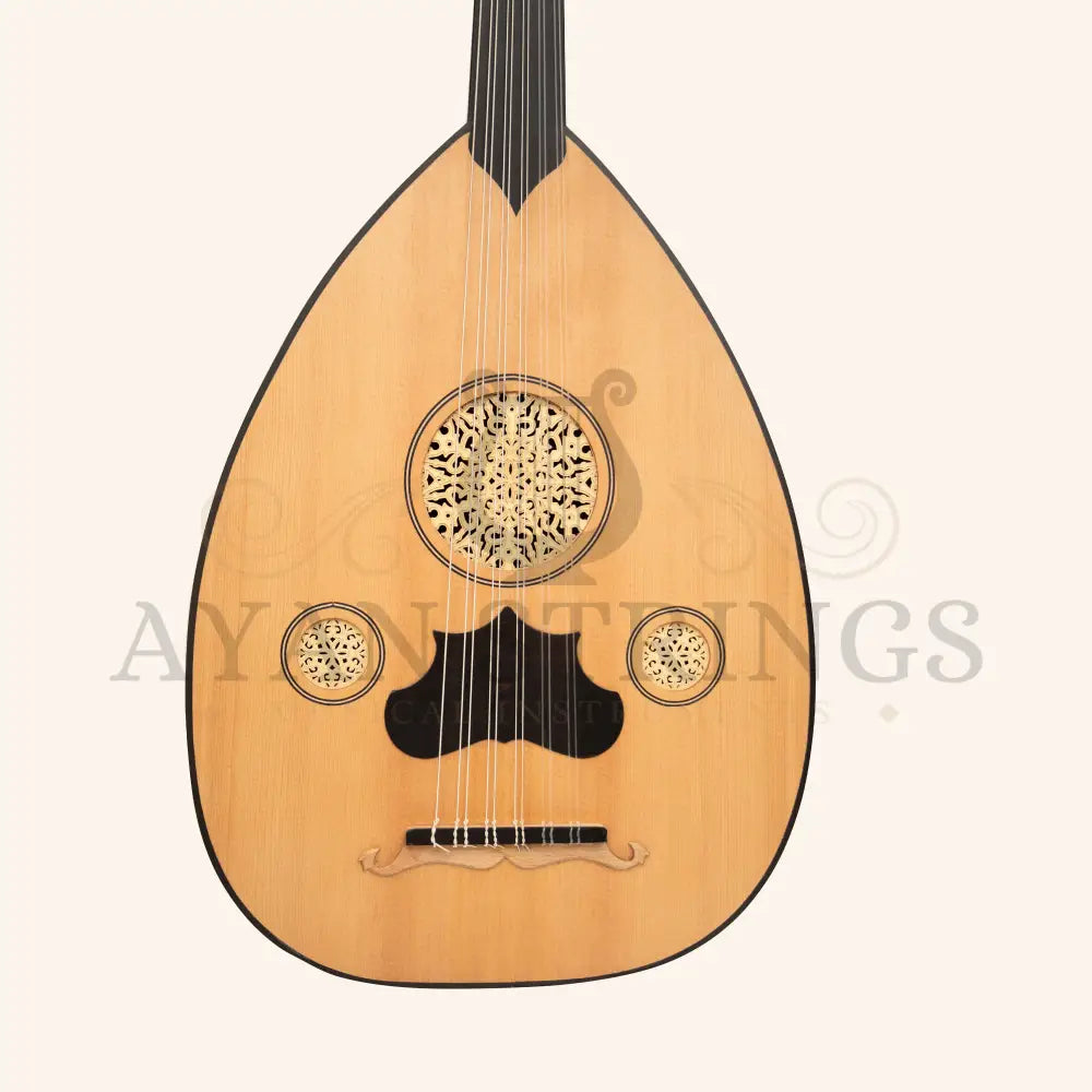 Turkish Oud 11 Strings Variegated Rosewood Lacewood - Stringed Instruments