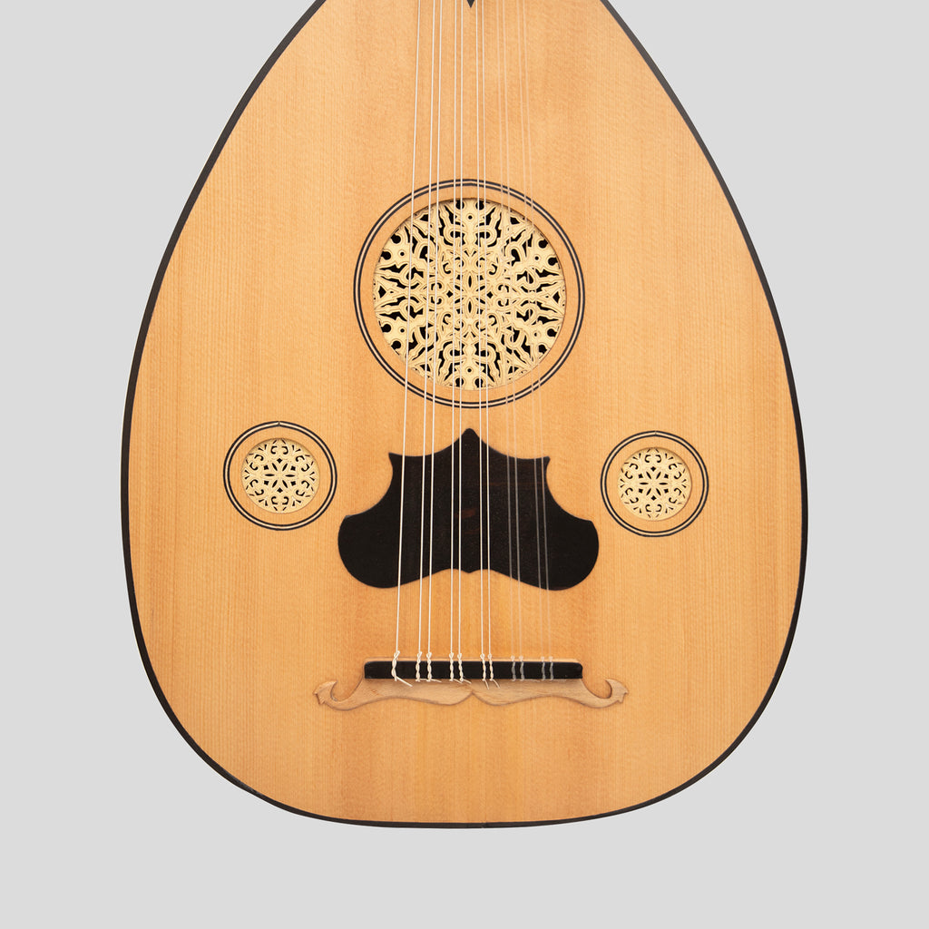 Heartland Turkish Variegated Oud 11 String