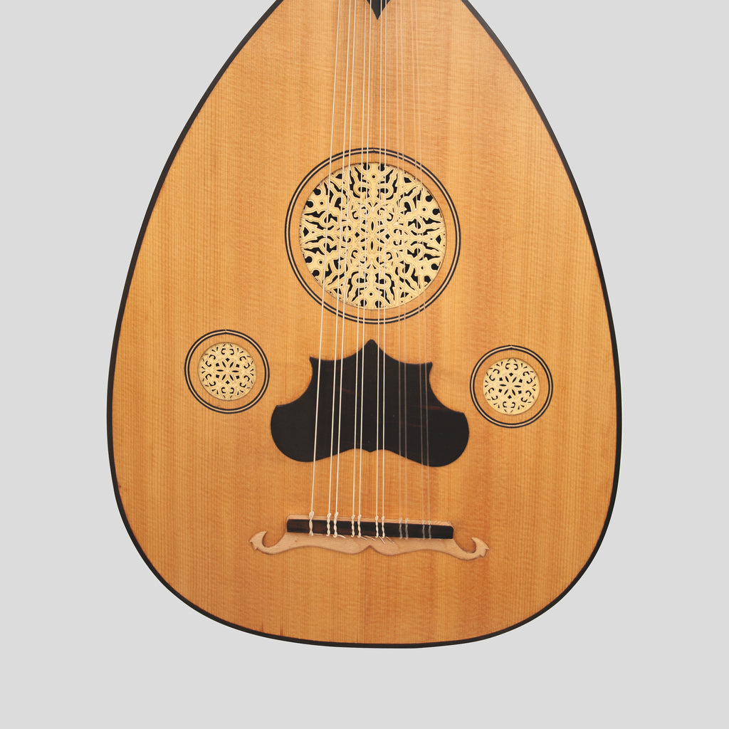 Heartland Turkish Variegated Oud 11 String